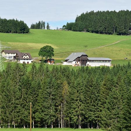 Apartament Duerrenbartleshof Breitnau Zewnętrze zdjęcie