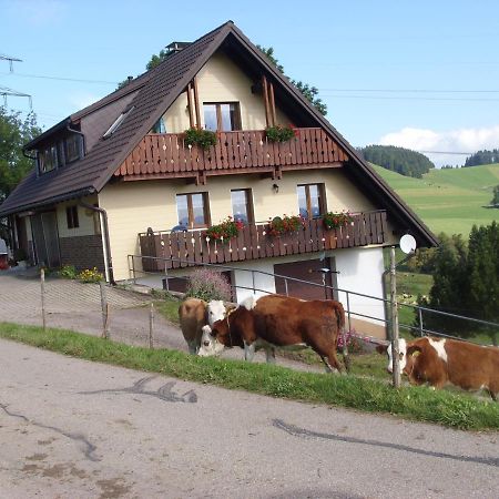Apartament Duerrenbartleshof Breitnau Zewnętrze zdjęcie