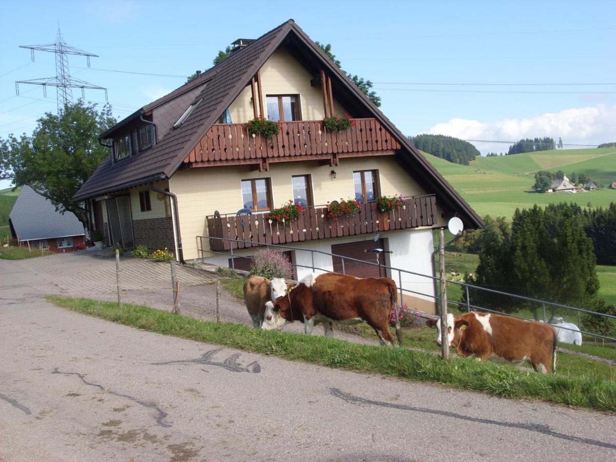 Apartament Duerrenbartleshof Breitnau Zewnętrze zdjęcie